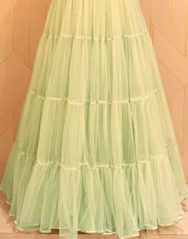 Image of Designer Light Green Embroidery work Netted Dress Gown