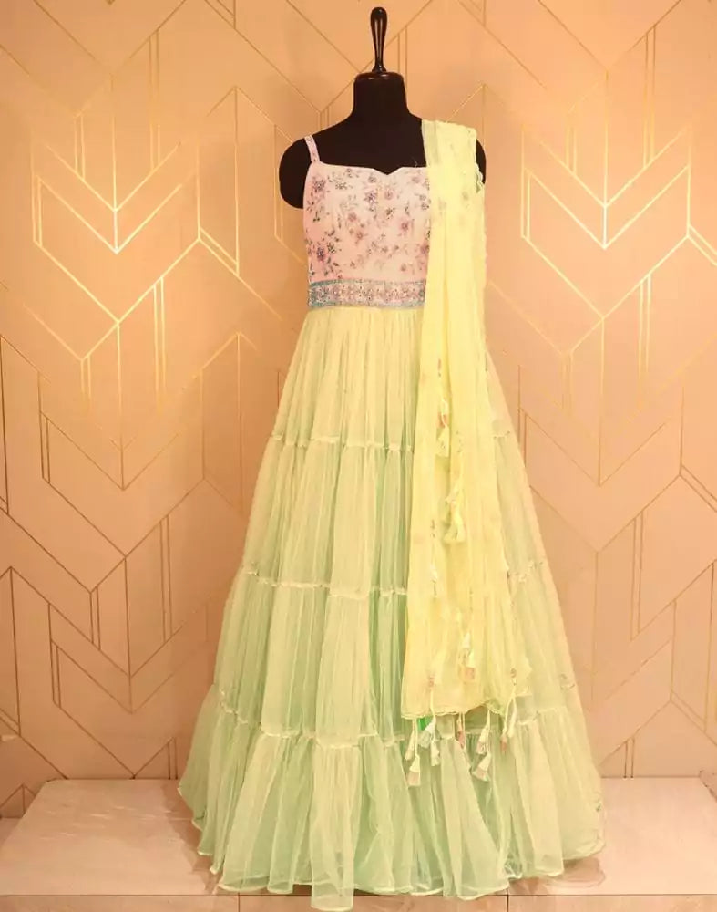 Image of Designer Light Green Embroidery work Netted Dress Gown
