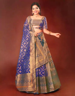 Navy Blue Floral Pattern Zari Banaras Fancy lehenga set – South