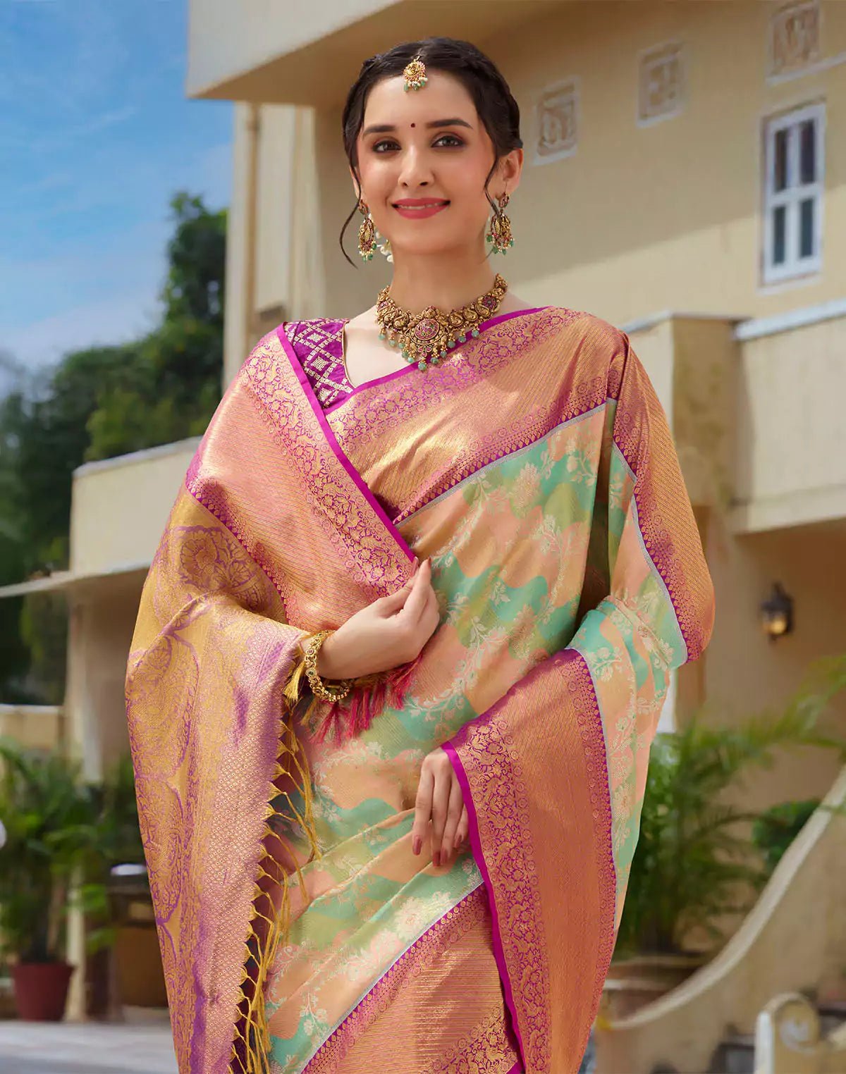 Image of Multi Color Tissue Jaal Pure Silk Saree With Contrast Border - South India Shopping Mall