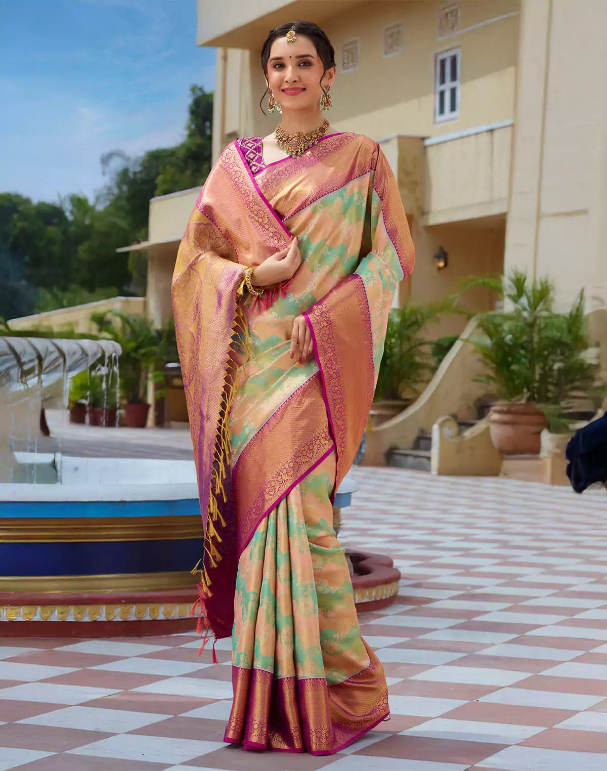 Image of Multi Color Tissue Jaal Pure Silk Saree With Contrast Border - South India Shopping Mall