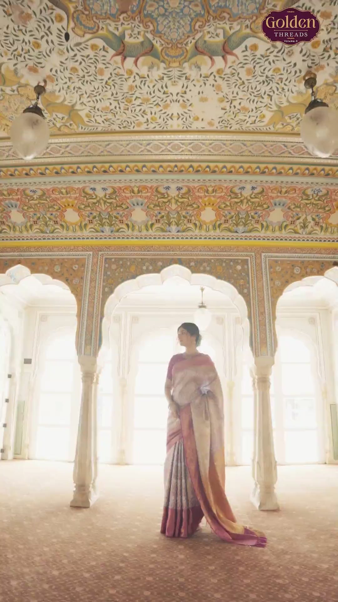 Double Shaded Beige Tissue Jaal Pure Silk Contrast Saree