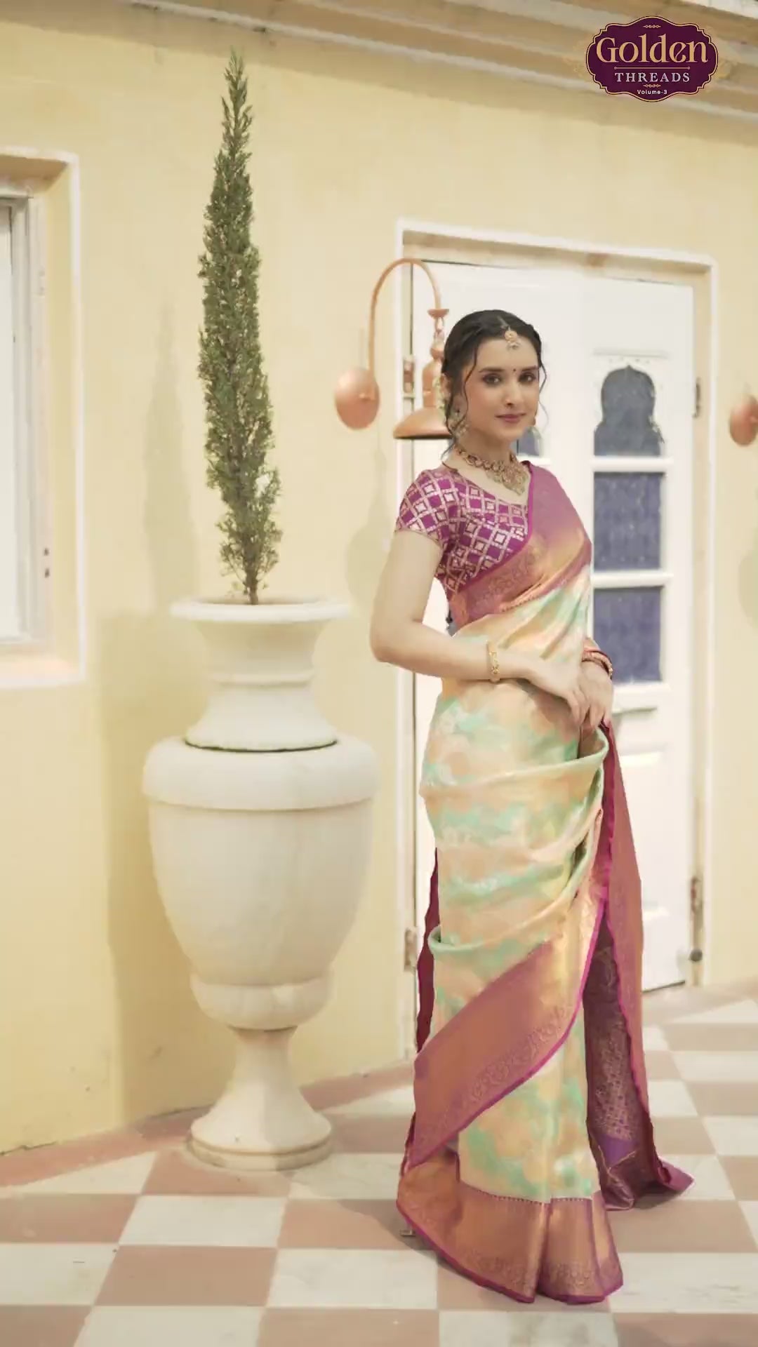 Image of Multi Color Tissue Jaal Pure Silk Saree With Contrast Border