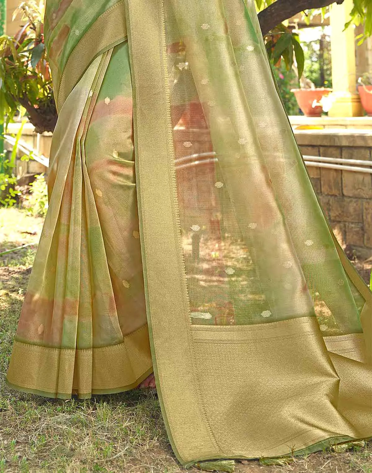 Image of Green Graphic Design Organza Fancy Saree
