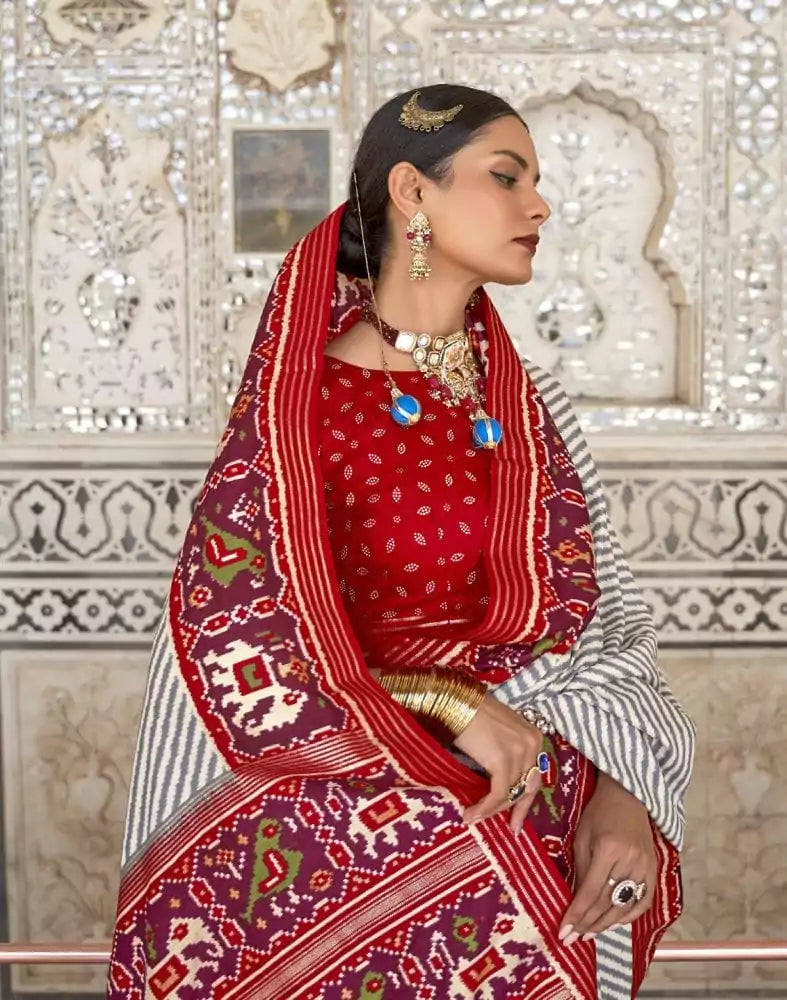 Image of Grey and Red Weaving Patola Saree