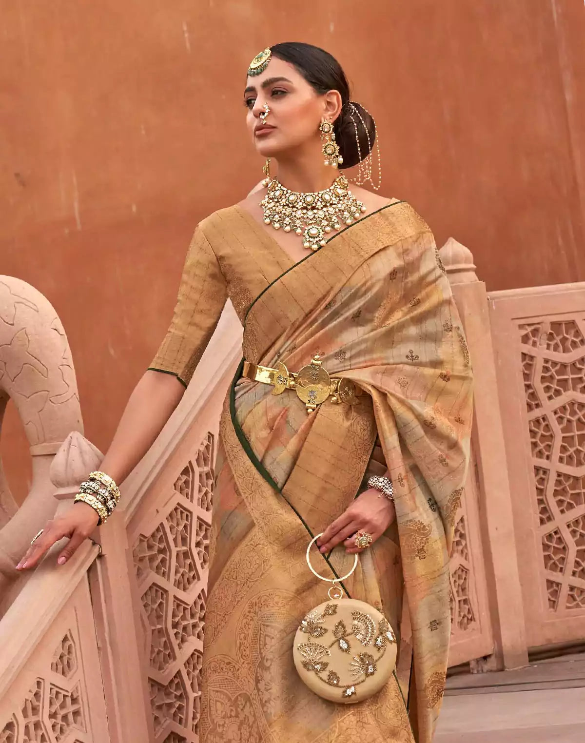 Image of Beige Organza Digital Print Saree