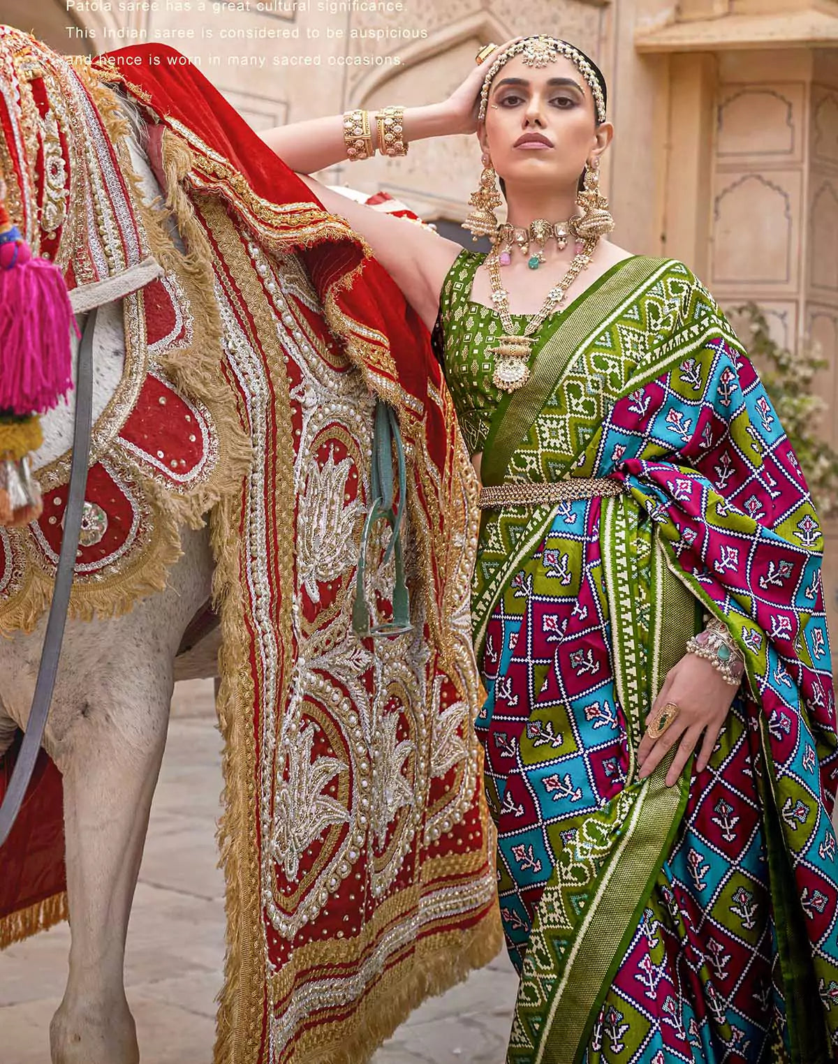 Image of Classy Blue Coloured Patola Silk Woven Saree