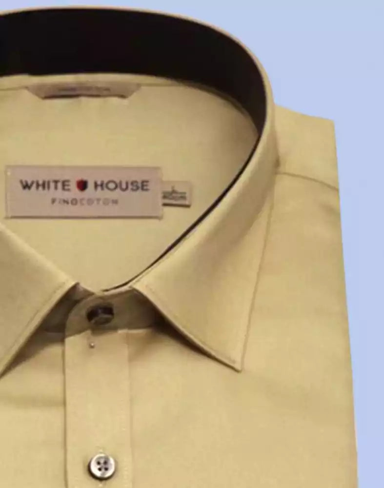 Image of Cream Colour Plain Pure Cotton Shirt